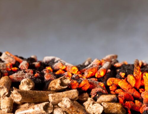 Are wood pellet grills worth it?